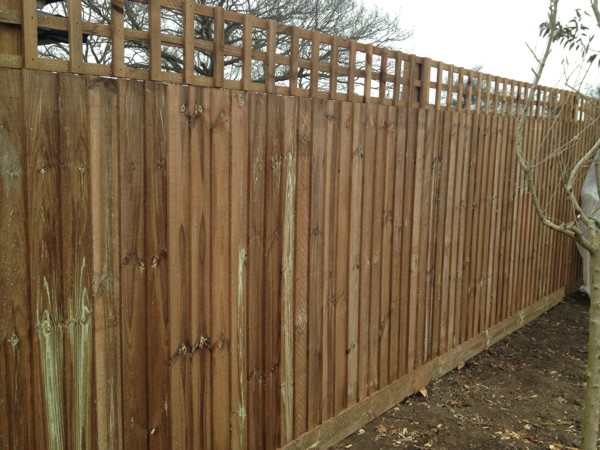 Close Boarded Garden Fencing with Trellis Chelmsford Essex CM1