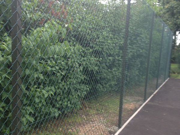 Tennis Court Fencing, Ball Court Fencing