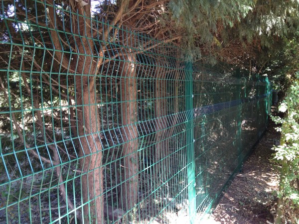 V Mex Mesh Fencing